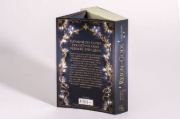 Buchcover und Innenansicht für das Buch: Reign of Gods - Verflucht