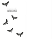Buchcover und Innenansicht für das Buch: Afterlove