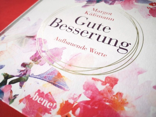 Buchcover und Innenansicht für das Buch: Gute Besserung