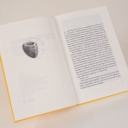 Buchcover und Innenansicht für das Buch: Nelly B:s Hjärta