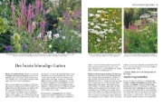 Buchcover und Innenansicht für das Buch: Welche Pflanze passt wohin im Naturgarten?