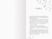Buchcover und Innenansicht für das Buch: Jewel & Blade, Band 2 - Die Hüter von Camelot