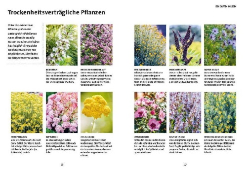 Buchcover und Innenansicht für das Buch: In den Garten, fertig, los!