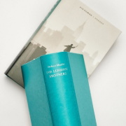 Buchcover und Innenansicht für das Buch: Qualcosa sui Lehman