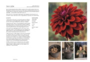 Buchcover und Innenansicht für das Buch: Das Gartenbuch