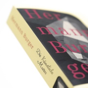 Buchcover und Innenansicht für das Buch: Die Künstliche Mutter