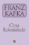 Buchcover und Innenansicht für das Buch: Ceza Kolonisinde