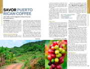 Buchcover und Innenansicht für das Buch: Lonely Planet Puerto Rico