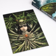 Buchcover und Innenansicht für das Buch: Dragon Hunt Tribe