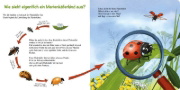 Buchcover und Innenansicht für das Buch: Pass gut auf den kleinen Marienkäfer auf