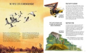 Buchcover und Innenansicht für das Buch: Rewilding