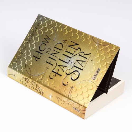 Buchcover und Innenansicht für das Buch: How To Find A Fallen Star (New York Magics 2)