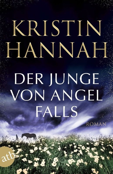 Buchcover und Innenansicht für das Buch: Angel Falls