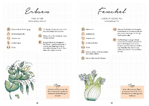 Buchcover und Innenansicht für das Buch: Mein Garten - Das illustrierte Gartenbuch