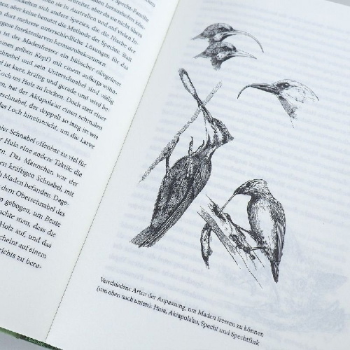 Buchcover und Innenansicht für das Buch: Improbable Destinies