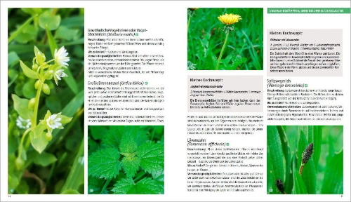 Buchcover und Innenansicht für das Buch: Jardiner sans produits chimiques