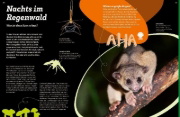 Buchcover und Innenansicht für das Buch: WAS IST WAS Regenwald. Wilde grüne Welt