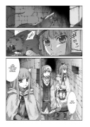 Buchcover und Innenansicht für das Buch: Spice & Wolf Deluxe 02