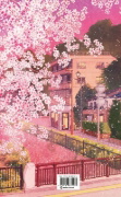 Buchcover und Innenansicht für das Buch: The Vanishing Cherry Blossom Bookshop (Deluxe Edition)