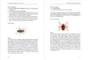Buchcover und Innenansicht für das Buch: Naturraum-Pädagogik