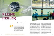 Buchcover und Innenansicht für das Buch: 52 kleine & große Eskapaden in Deutschland - Für Camper