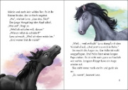 Buchcover und Innenansicht für das Buch: Wildpferde - mutig und frei (Band 4) - Der verschwundene Mustang