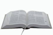Buchcover und Innenansicht für das Buch: Gute Nachricht für Teens