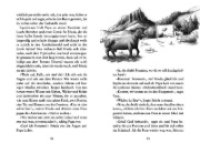 Buchcover und Innenansicht für das Buch: Päckchensommer