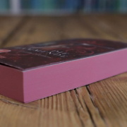 Buchcover und Innenansicht für das Buch: Fire