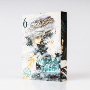 Buchcover und Innenansicht für das Buch: Vampire Knight
