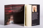 Buchcover und Innenansicht für das Buch: The Paris Apartment