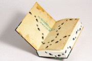 Buchcover und Innenansicht für das Buch: Near the Bone