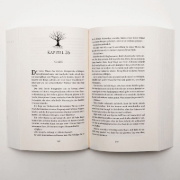 Buchcover und Innenansicht für das Buch: Gold