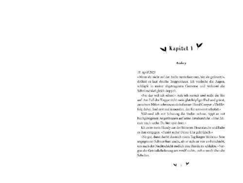 Buchcover und Innenansicht für das Buch: Pride and Prejudice and Pittsburgh