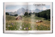 Buchcover und Innenansicht für das Buch: Escape
