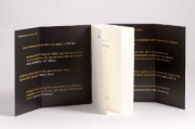 Buchcover und Innenansicht für das Buch: Crash