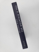 Buchcover und Innenansicht für das Buch: The Mountain Is You