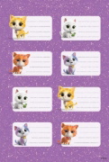 Buchcover und Innenansicht für das Buch: Disney Junior SuperKitties: Superstarker Sticker- und Malspaß