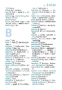 Buchcover und Innenansicht für das Buch: Langenscheidt Universal-Wörterbuch Tschechisch