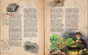 Buchcover und Innenansicht für das Buch: Zauberstäbe und ihre Geheimnisse
