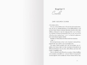 Buchcover und Innenansicht für das Buch: One Stolen Night