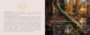 Buchcover und Innenansicht für das Buch: Das Funkeln der Sterne
