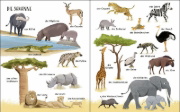 Buchcover und Innenansicht für das Buch: Entdecke die Welt der Tiere - Mein schönstes Bildwörterbuch