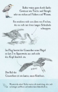 Buchcover und Innenansicht für das Buch: Natur-Entdecker-Karten: Unsere heimischen Vögel