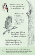 Buchcover und Innenansicht für das Buch: Natur-Entdecker-Karten: Unsere heimischen Vögel