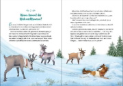 Buchcover und Innenansicht für das Buch: Glöckchen, das Weihnachtspony - Ein magisches Winterwunder