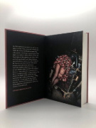 Buchcover und Innenansicht für das Buch: Die unvollständigen Aufzeichnungen der Tourschlampe Doris