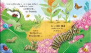 Buchcover und Innenansicht für das Buch: Schau mal, wie ich wachse! Von der Raupe zum Schmetterling