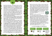Buchcover und Innenansicht für das Buch: Minecraft Échappe-Toi! - L'île Infernale