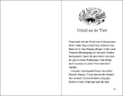 Buchcover und Innenansicht für das Buch: Solak Scourge of the Sea